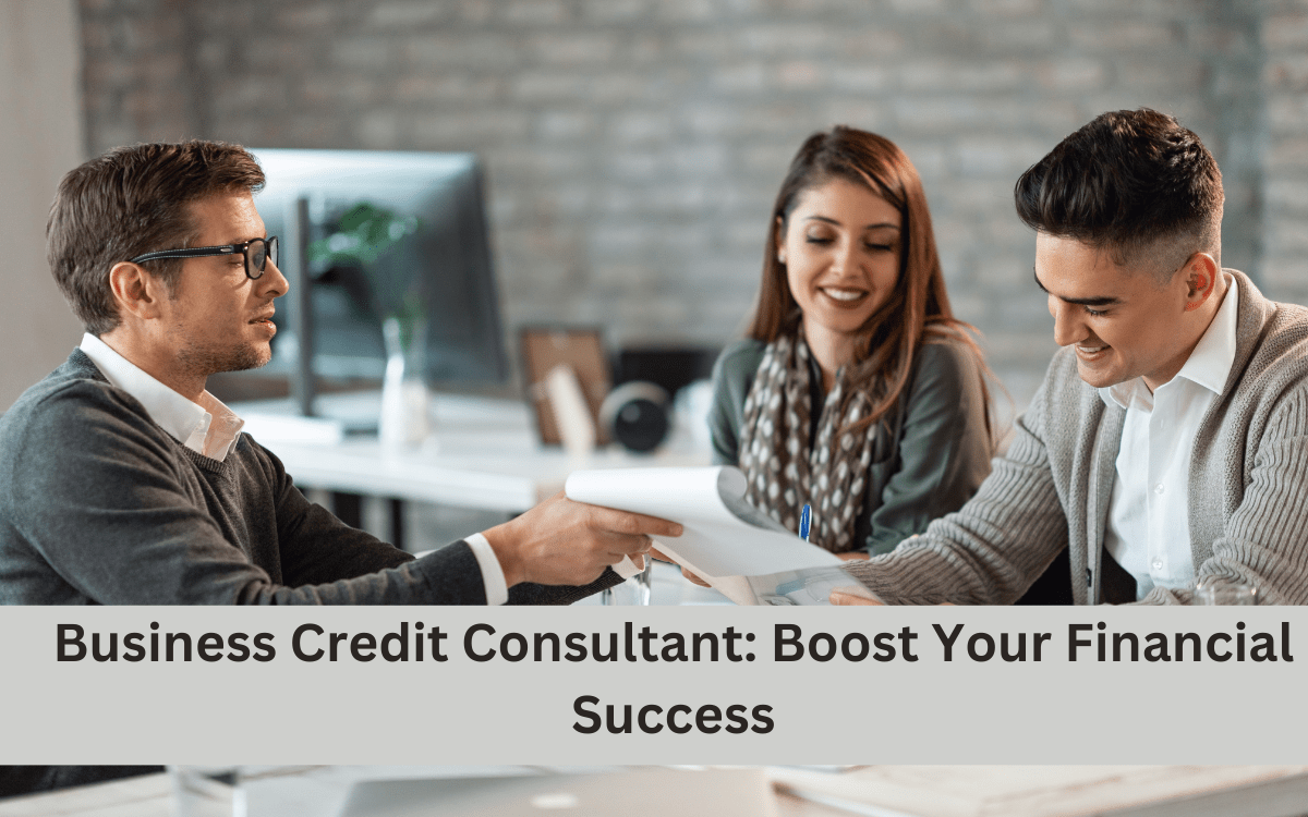 Business Credit Consultant